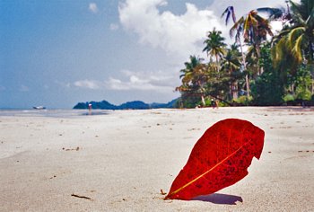 Insula Koh Chang (Thailanda) informații turistice