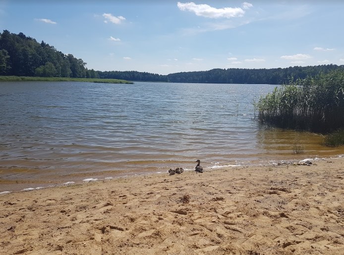 Se odihnește în sanatoriu - un lac lac de apă, lacul este alb și aer curat - în cazul în care compot