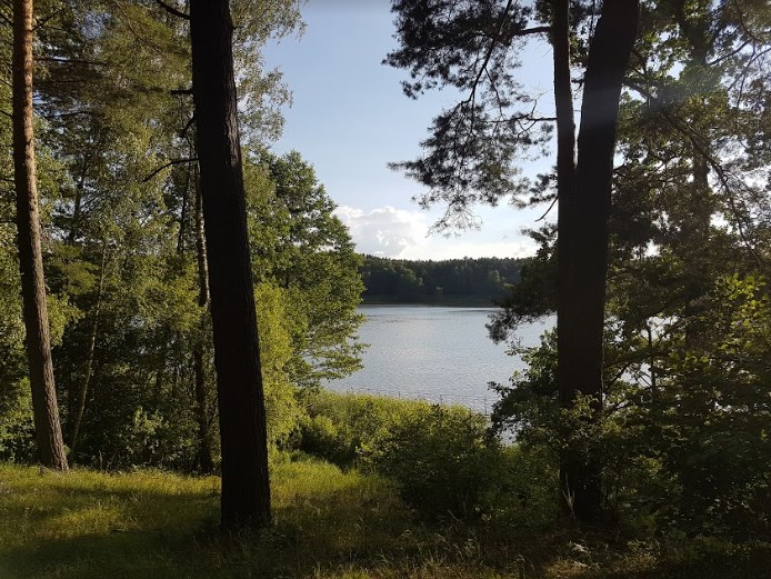 Se odihnește în sanatoriu - un lac lac de apă, lacul este alb și aer curat - în cazul în care compot