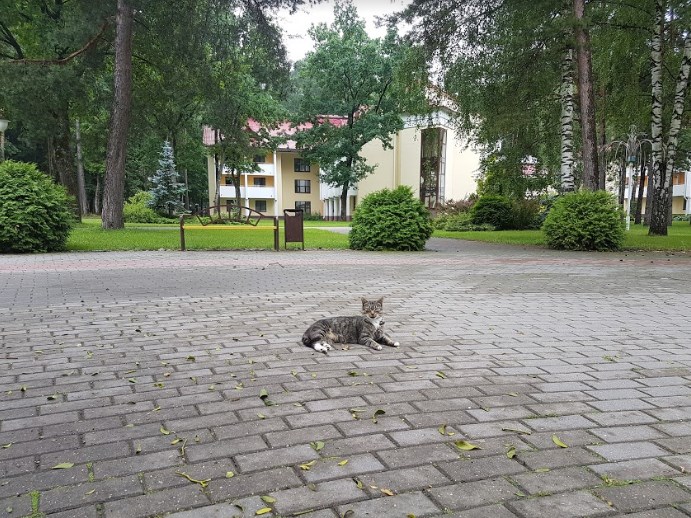 Se odihnește în sanatoriu - un lac lac de apă, lacul este alb și aer curat - în cazul în care compot