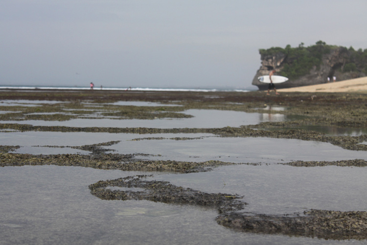 Ebb și fluxul către Bali, allisa indo tour