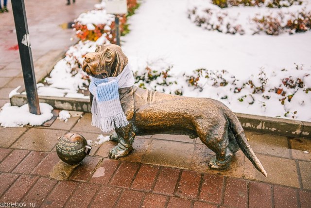 Monumentul câinelui Bobko în istoria Kostroma, descriere și fotografie