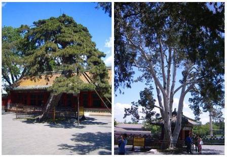 Beihai Park - az egyik legnépszerűbb parkok Pekingben, a kínai akcentussal