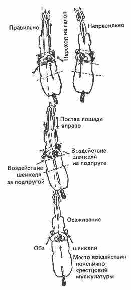 Перехід на галоп