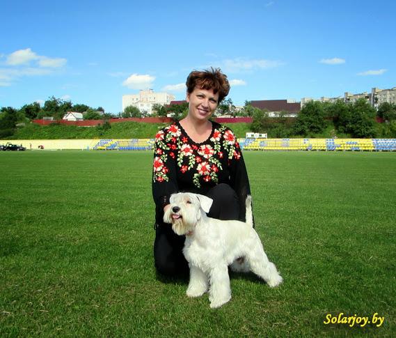 Kennel kutyák és macskák Minszkben