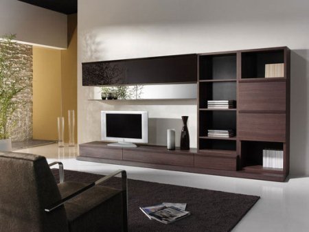 Aspectul camerei de zi, designul interior al livingului