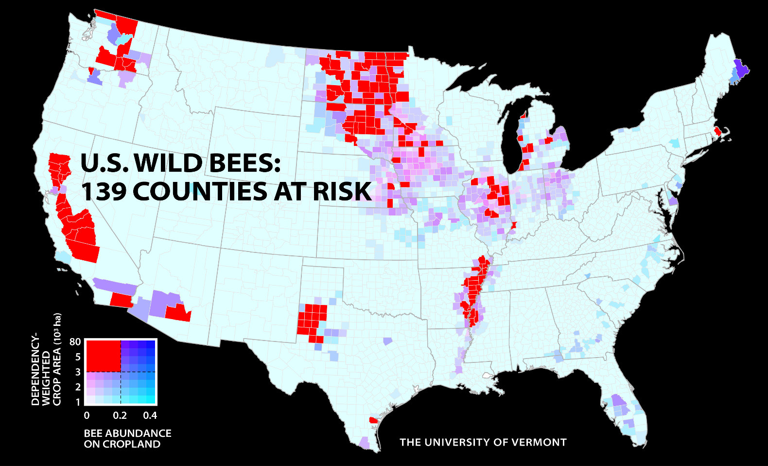 De ce dispariția albinelor este un dezastru pentru omenire
