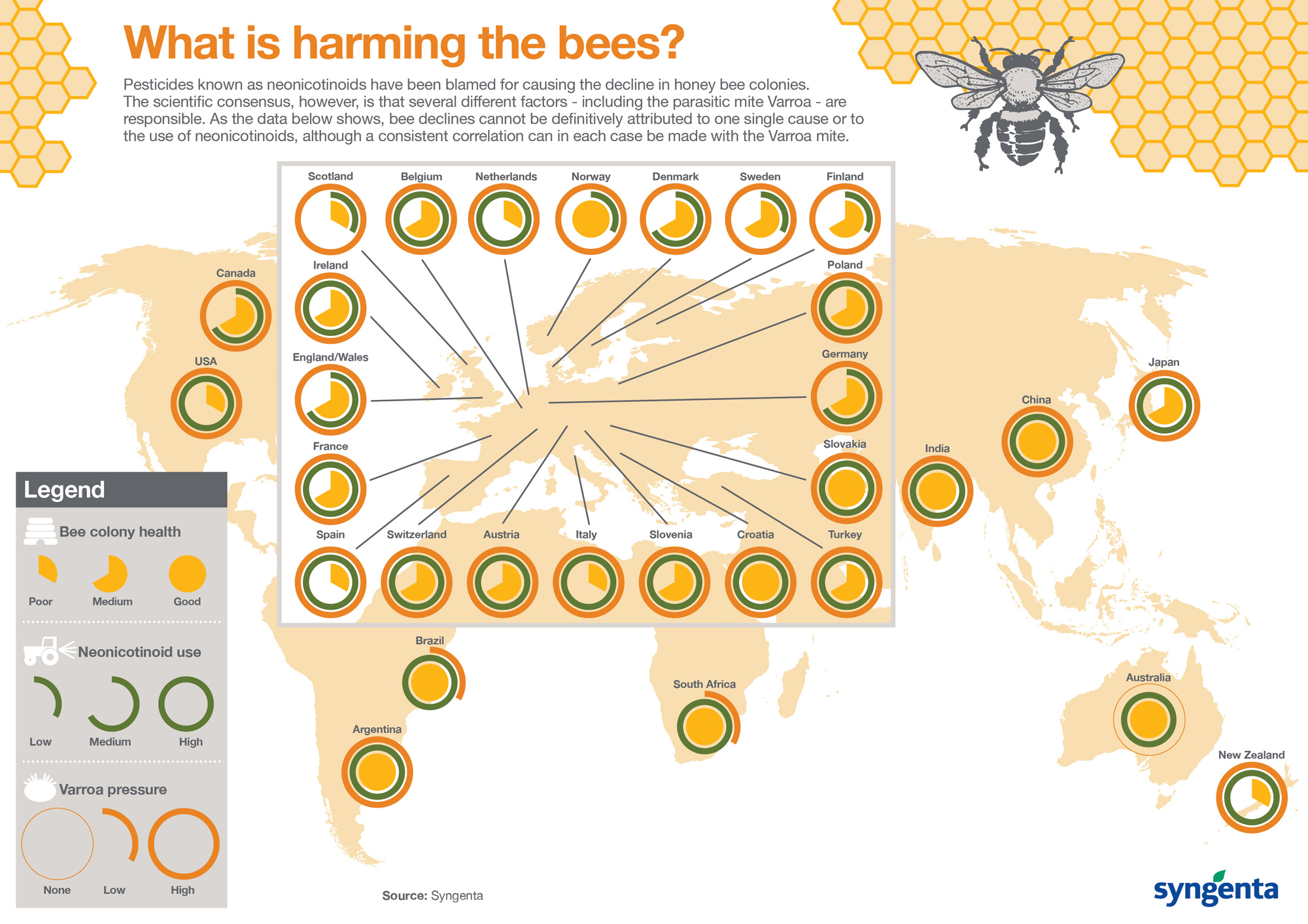 Miért méhek kihalása - ez egy katasztrófa az emberiség