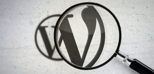 Wordpress căutare - formular de căutare