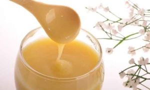 Полин гіркий і мед для лікування і оздоровлення печінки