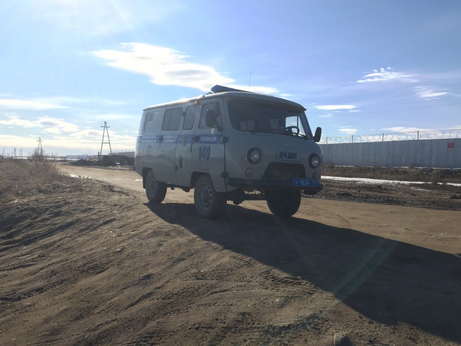 Повна машина трупів тварин приїхала в пункт перетримки Якутська