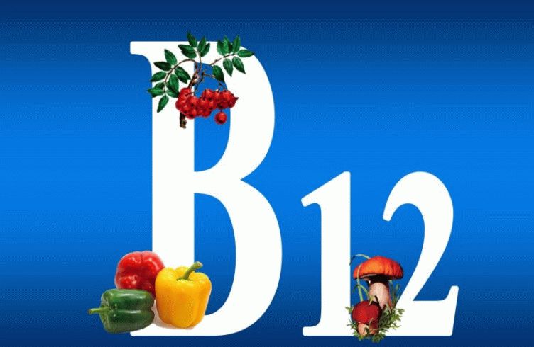 Utilizarea și rănirea vitaminei b12 (cobalamină) pentru organismul uman