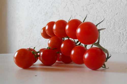 Помідори черрі - вирощування дрібноплідних томатів