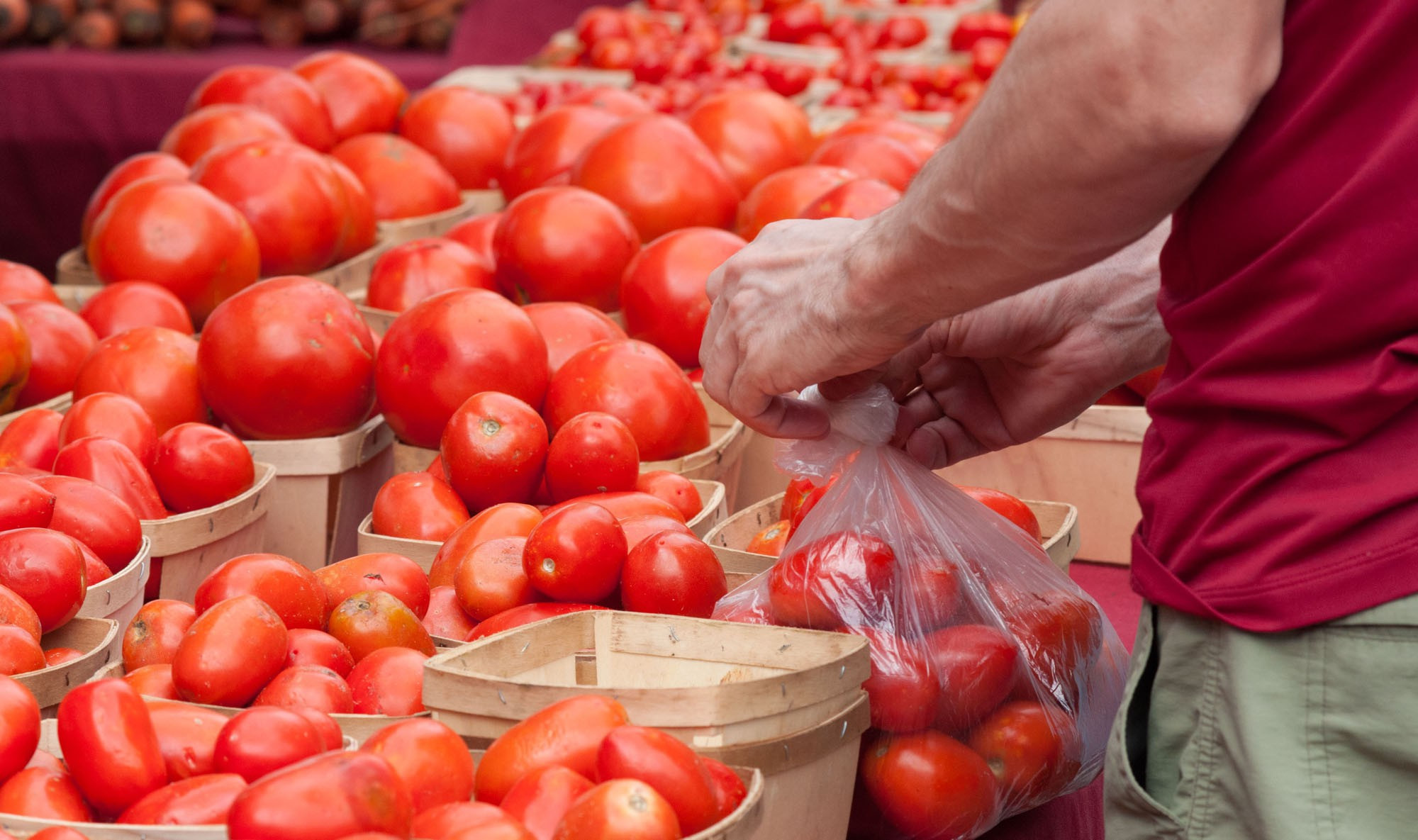 Tomato va economisi din depresie