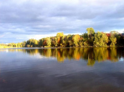 Правила безкоштовної риболовлі в Підмосков'ї на різних водоймах