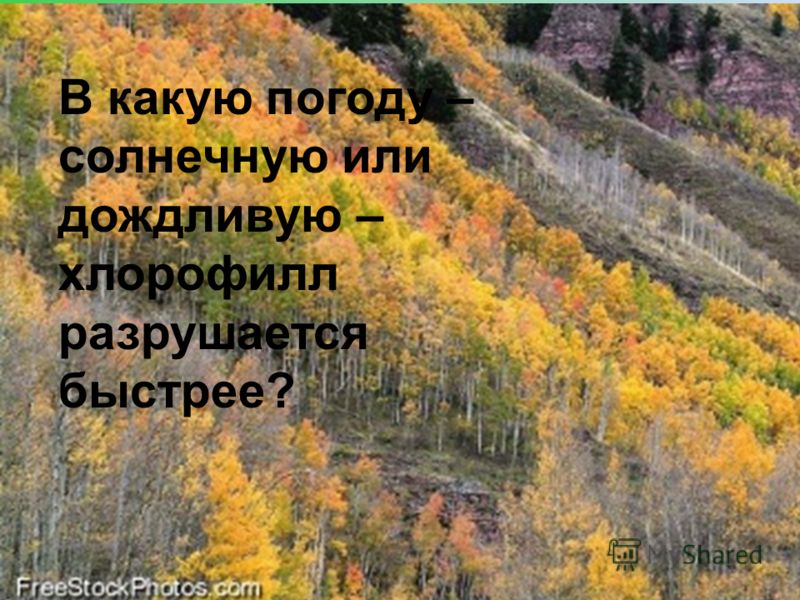 Презентація на тему цитологія - наука про клітину будову рослинної клітини