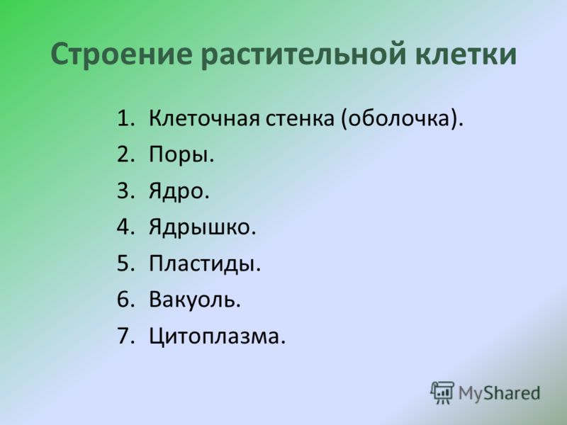 Презентація на тему цитологія - наука про клітину будову рослинної клітини