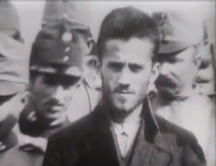 Gavrilo elv és szerepe az I. világháború