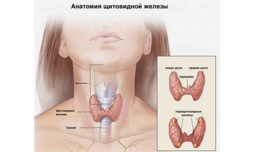 Simptomele tiroiditei autoimune