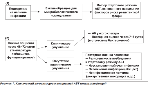 Проблема лікування важких нозокоміальних інфекцій, інтернет-видання - новини медицини і фармації