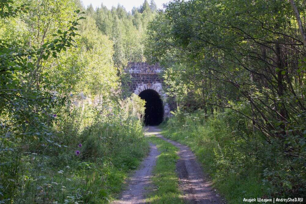 Mergând pe un tunel abandonat Didina