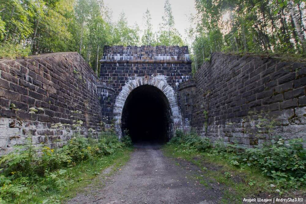 Прогулянка по занедбаного дідінскому тунелю