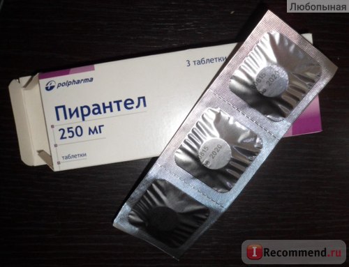 Antiparazitare polpharma pyrantel (pyrantel) - 