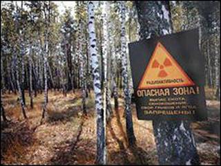 Plantele de la Cernobâl pot face față radiațiilor - serviciul rusesc bbc