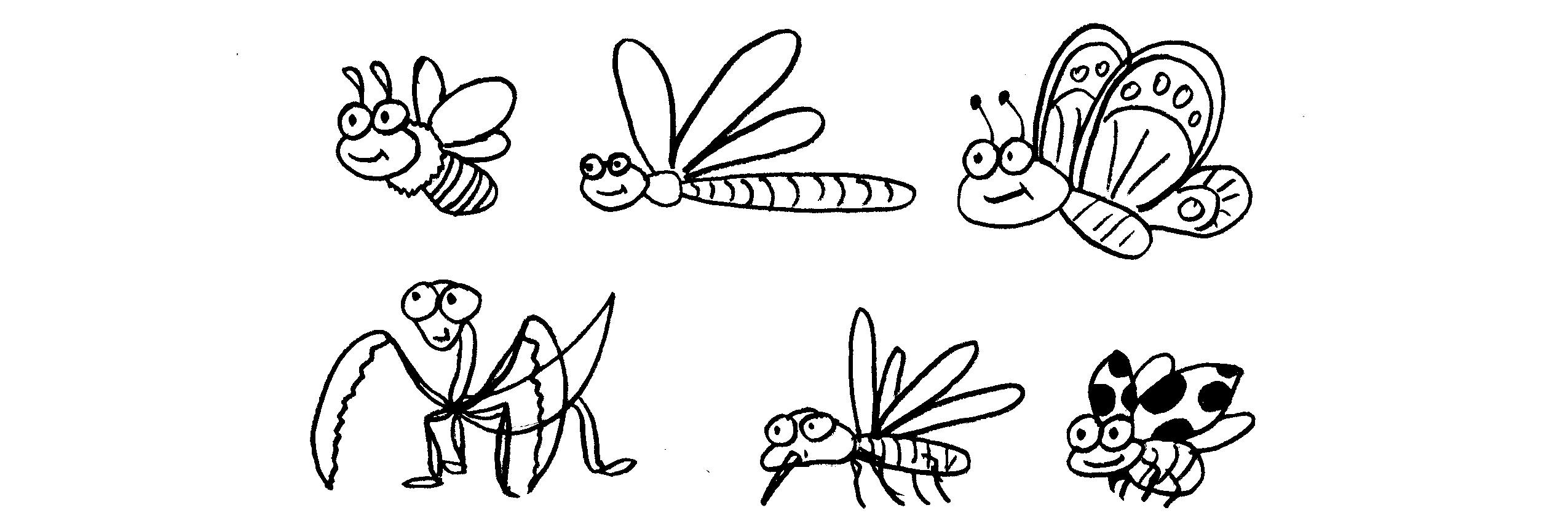 Desena insecte - clase de maestru - desene pentru copii pe