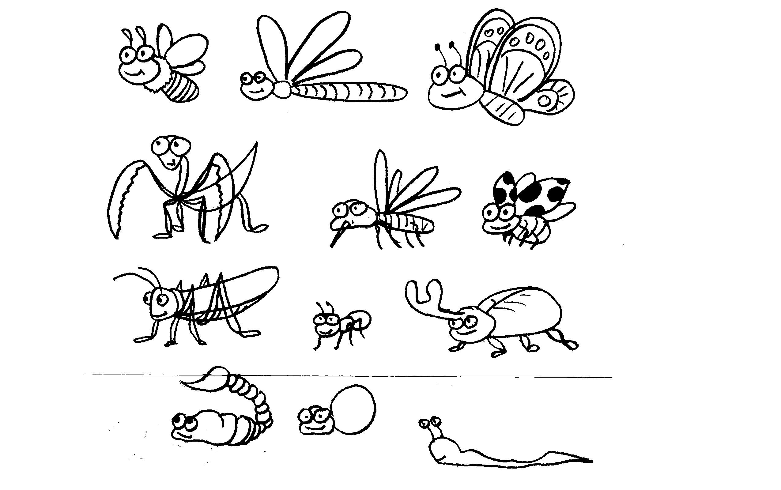 Desena insecte - clase de maestru - desene pentru copii pe