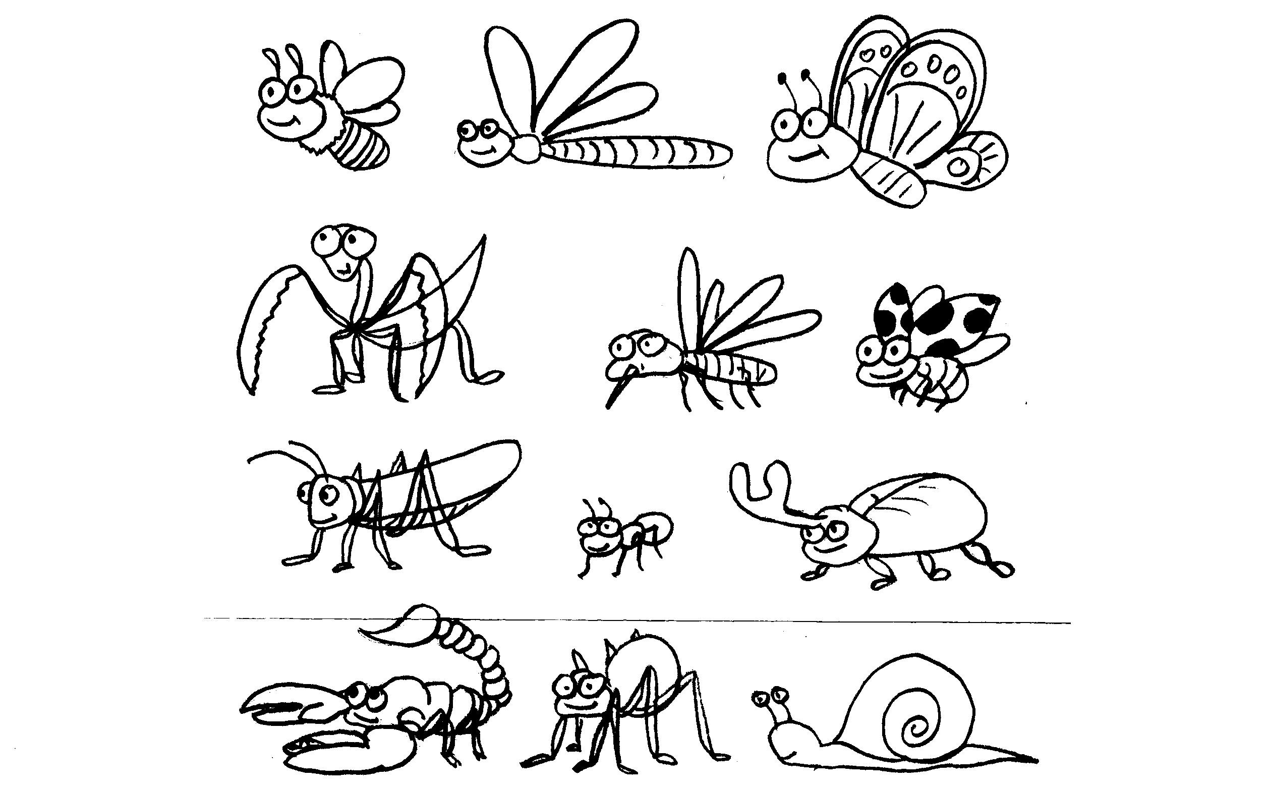 Desena insecte - clase de maestru - desene pentru copii pe