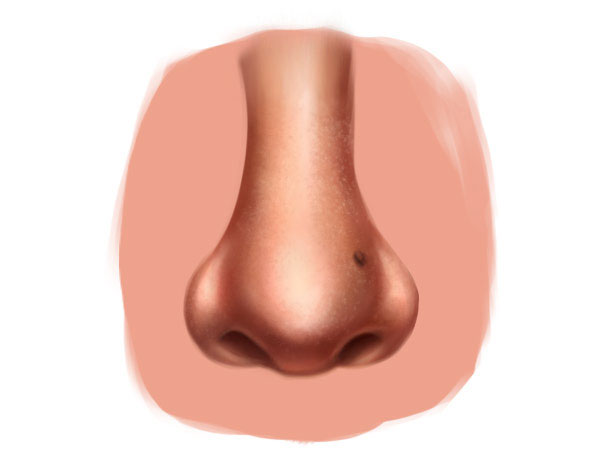 Desenarea unui nas în Photoshop