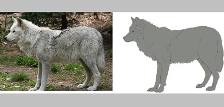 Desenarea unui lup
