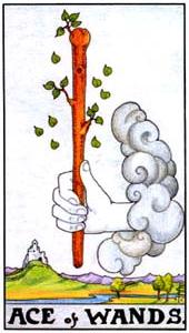 Cavaler de Cupe, Arcana Tarot, 1001 horoscop