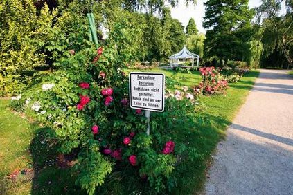 Rosarium uetersen, un parc de trandafiri în fotografie din Germania, în orașul yutersen, parcuri ale lumii, peisaj, Assbu