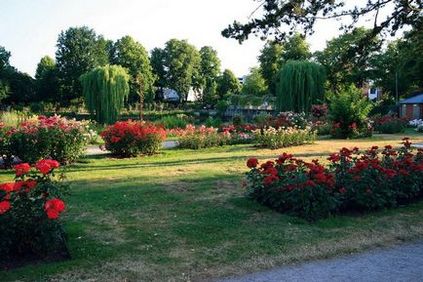 Rosarium uetersen, un parc de trandafiri în fotografie din Germania, în orașul yutersen, parcuri ale lumii, peisaj, Assbu