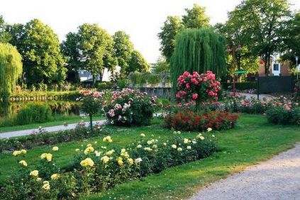 Rosarium uetersen, un parc de trandafiri în fotografie din Germania, în orașul yutersen, parcuri ale lumii, peisaj, Assbu