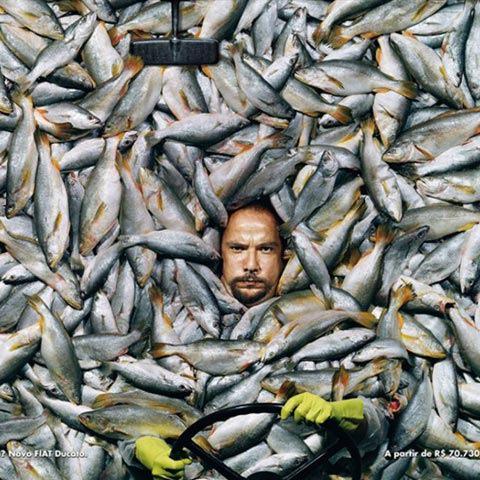 Cea mai tare glumă despre fotografiile de pescuit și de pescuit, lumină