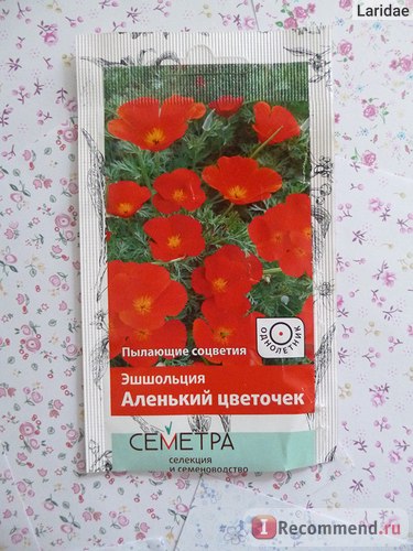 Насіння ешшольція аленький квіточку симетрії - «червона ешшольція аленький квіточку