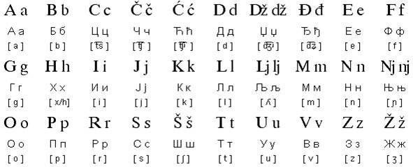 Limba sârbă