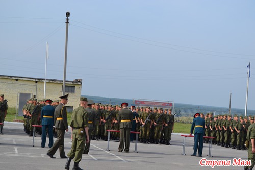 З'їздили на присягу до сина! Країна мам