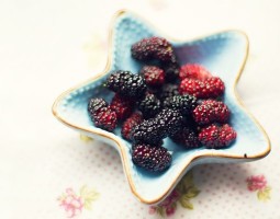 Mulberry în diabet zaharat cu privire la utilizarea de tip alb, frunze