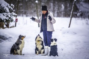 Pui de pui Alabai, pui de ciobanesc din Asia Centrală, pui Aussie, pui ciobănesc australian, pui de pui