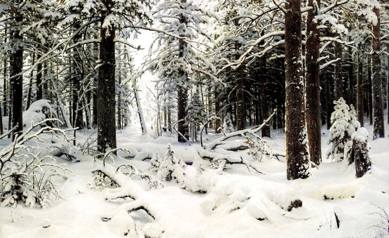 Shishkin Ivan Ivanovici