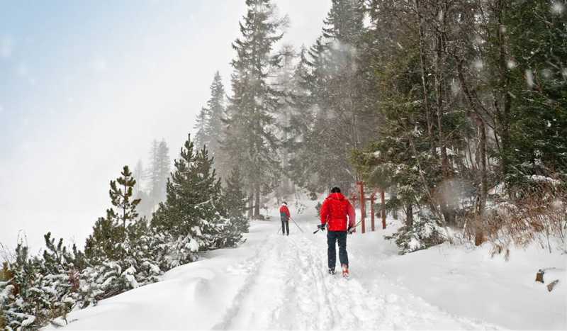 Strbske Pleso, Slovacia sunt toate despre odihna cu copiii în râsul rusesc pe portalul de copii kiddressage