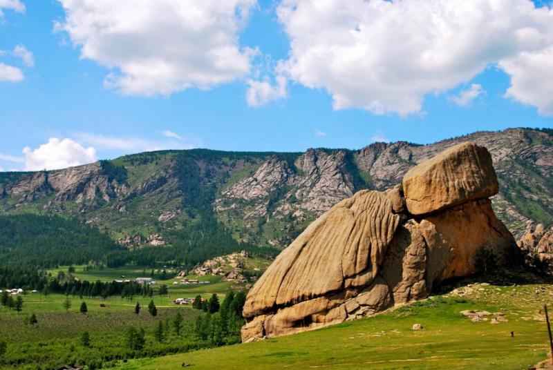 Rock-uri care arata ca animalele (roci) Stânci care arată ca animalele