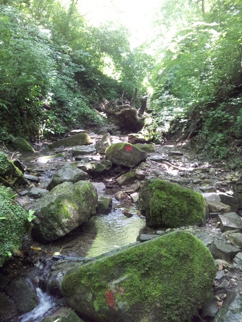 Sochi Berendeyevo regatul (cascade, fotografie, cum să ajungi acolo), Gelendzhik de la kabardinka la tehshebsa