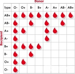 Compatibilitatea grupurilor de sânge