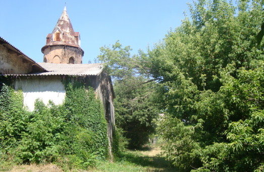 Salvați monumentele pe moarte! Mansion Anselm din satul Shabo