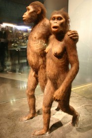 Mijloace de comunicare Australopithecus